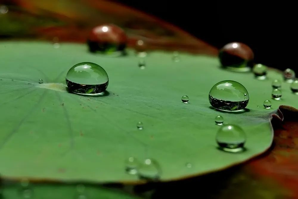 PS制作逼真水珠 水珠效果怎么做更自然