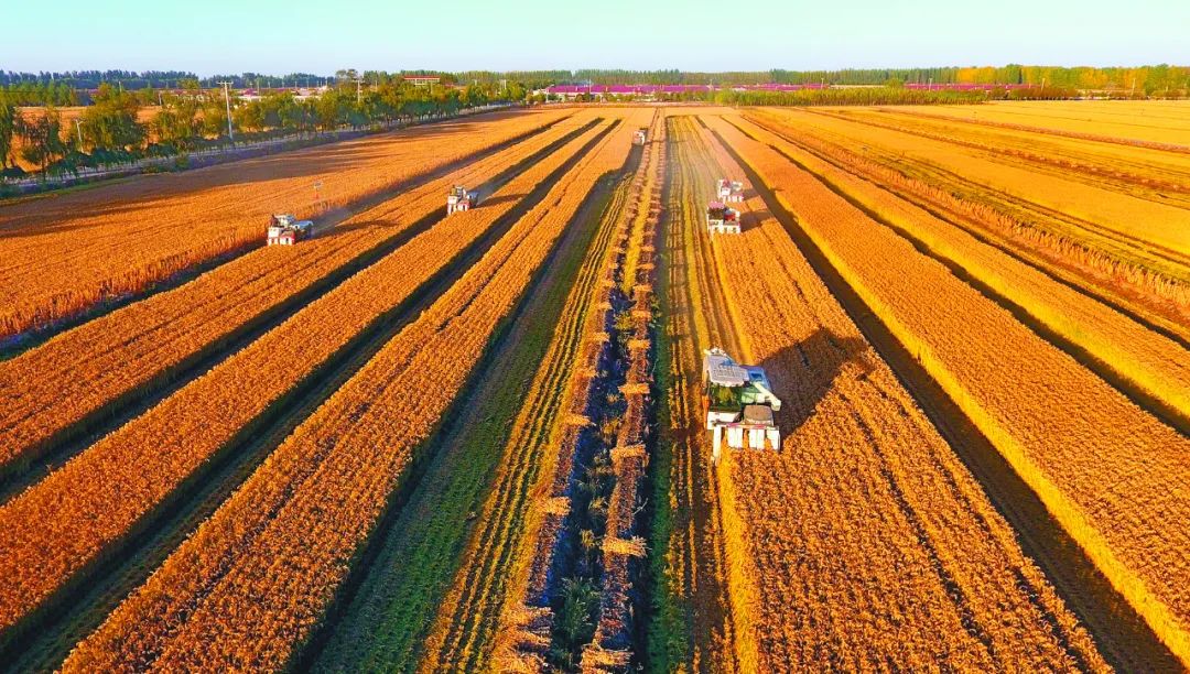 黑土地有多珍贵?国家拿16亿保护它 - 房老大-房地产信息资讯网