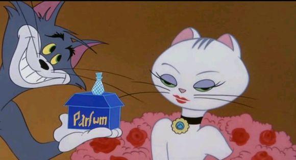 盘点猫和老鼠的白母猫牛仔猫人气最高而她被无数人唾弃