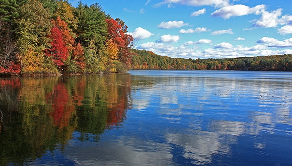 瓦尔登湖为何不结冰 欧阳夏丹为何推荐这本书
