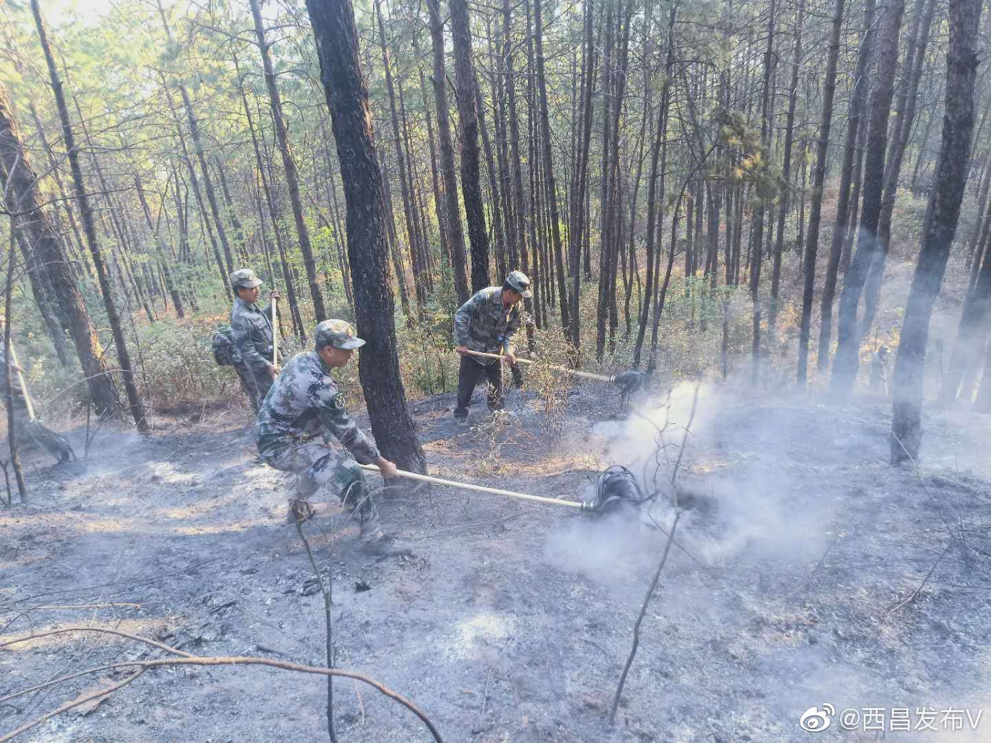  扑火队员在林中扑灭明火。来源：“西昌发布”官方微博