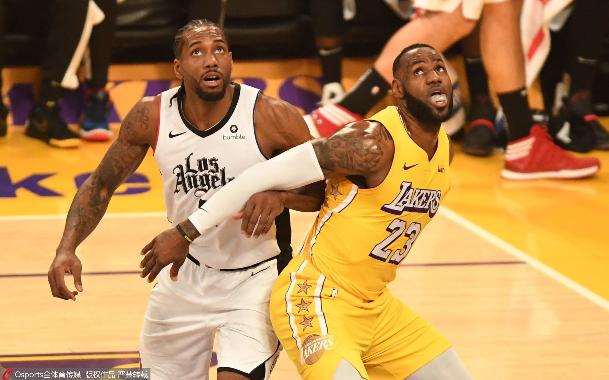 NBA复赛可能性有多大?这4大谜题有待化解
