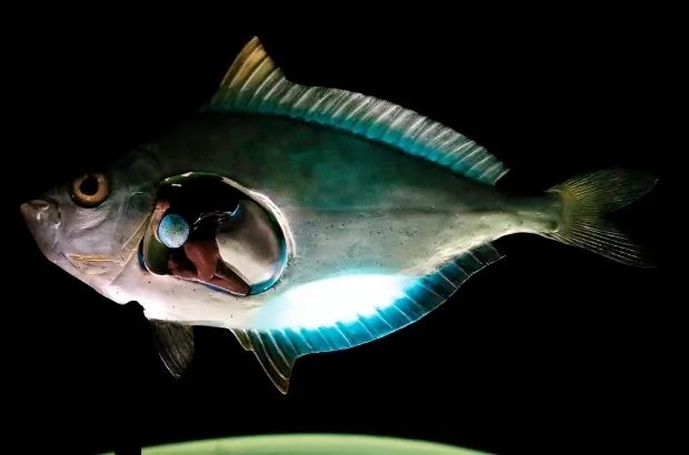 想脱单,要先做一只电灯泡啊