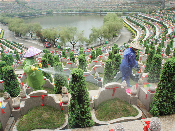 漳州西陵:别样清明一样情