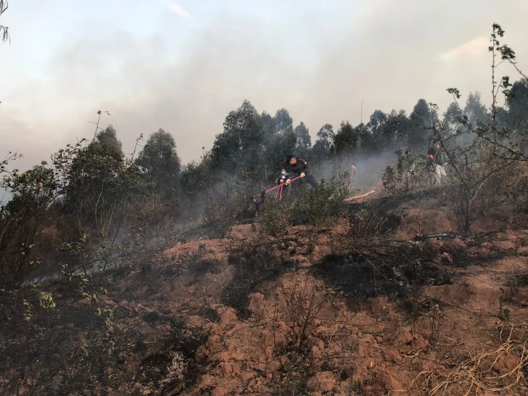 西昌市出台史上最严森林(草原)防火管控措施