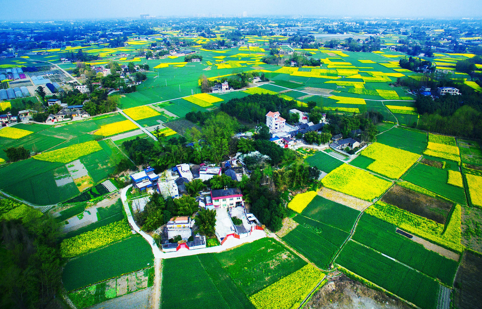 成都平原经济区国土空间规划今年完成,四川国土空间开发保护将形成"一