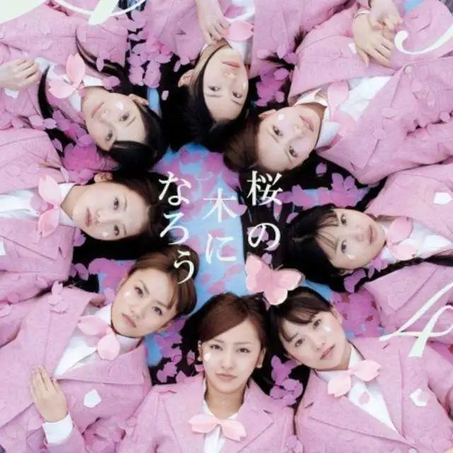 浪漫樱花|迷宫的十字路口_新浪新闻