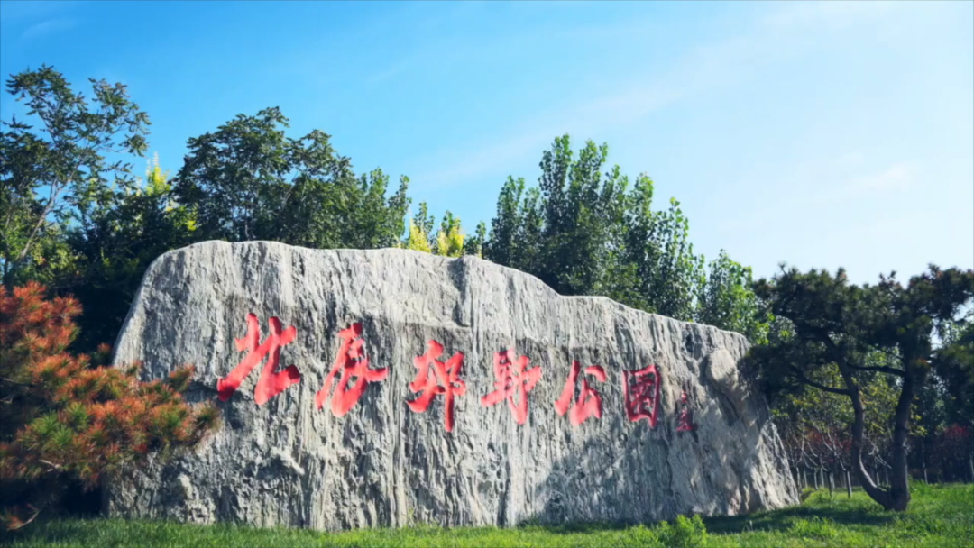 北辰郊野公园春色满园,风光正好待君来!