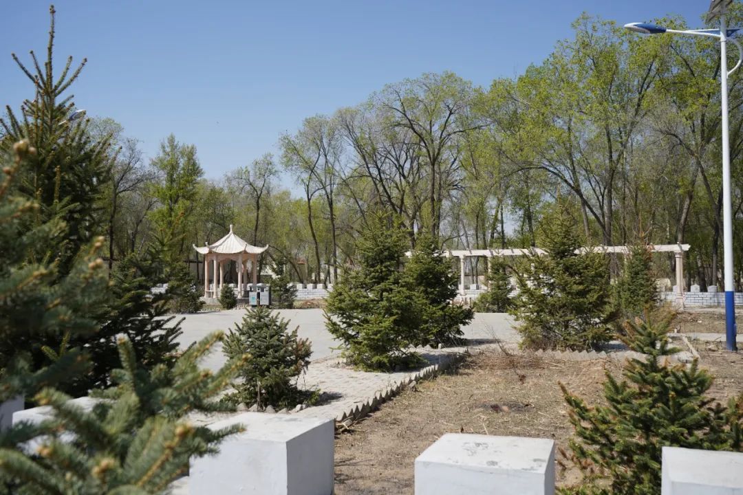 呼和浩特市和林格尔县舍必崖乡:人居环境整治持续发力 打造更加美丽