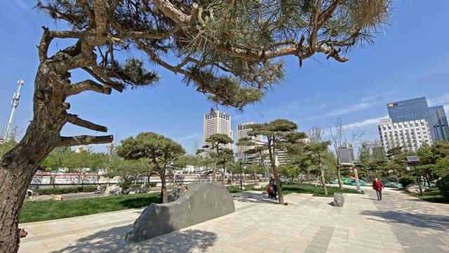 2020石家庄最好的小_聚焦2020第十三届正博会2020第十三届中国·石家庄(正