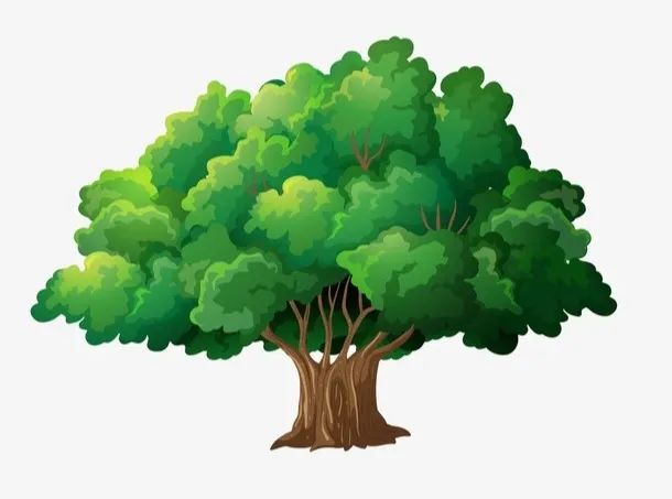 日复一日地长成了参天大树从一颗小树苗我是森林里的一棵大树