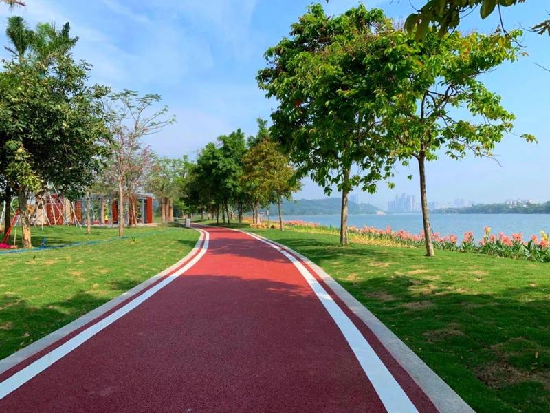 增城荔湖湿地"五一"正式开放,快来打卡