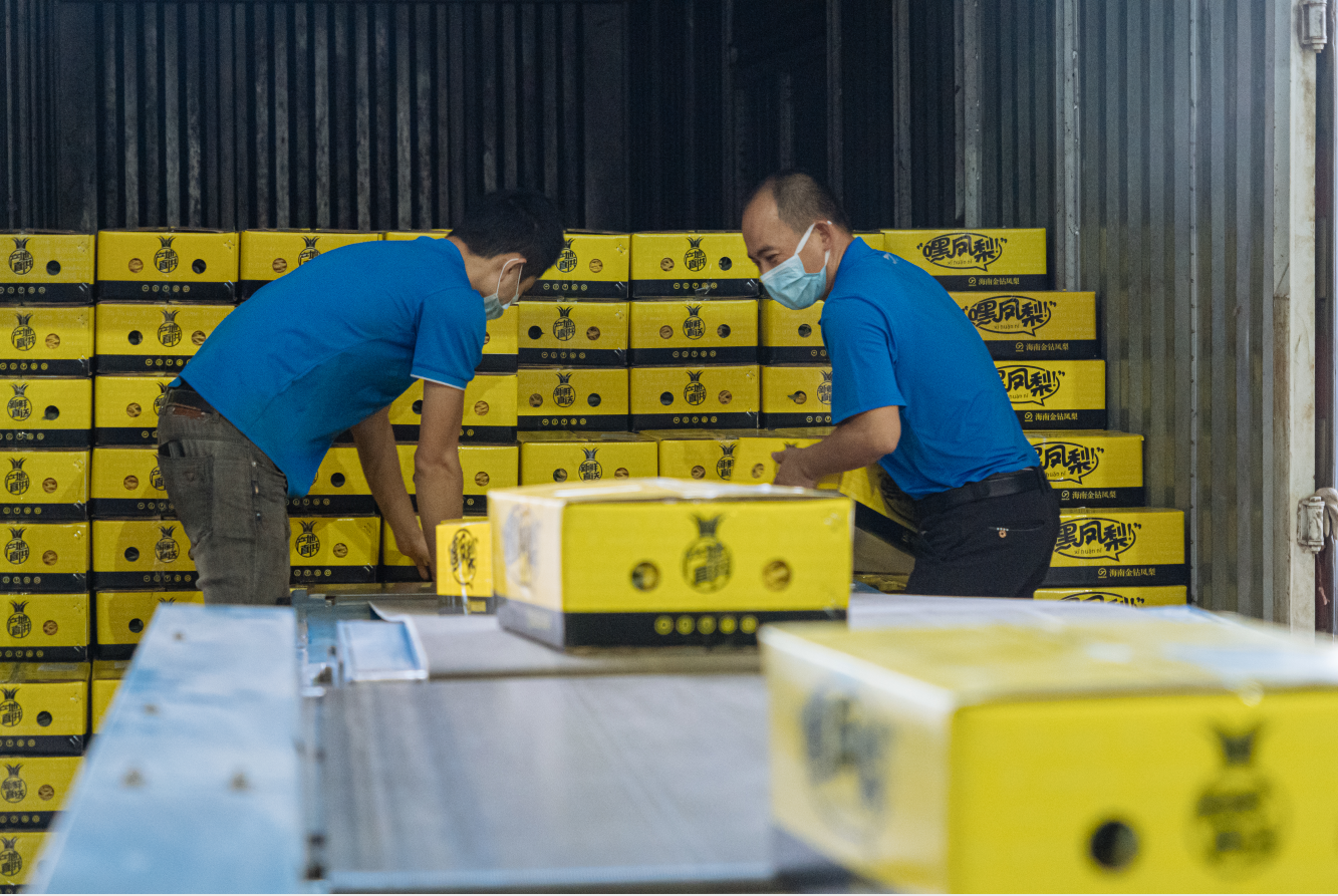 中通快递投入70辆冷链车每天承运500吨海南水果