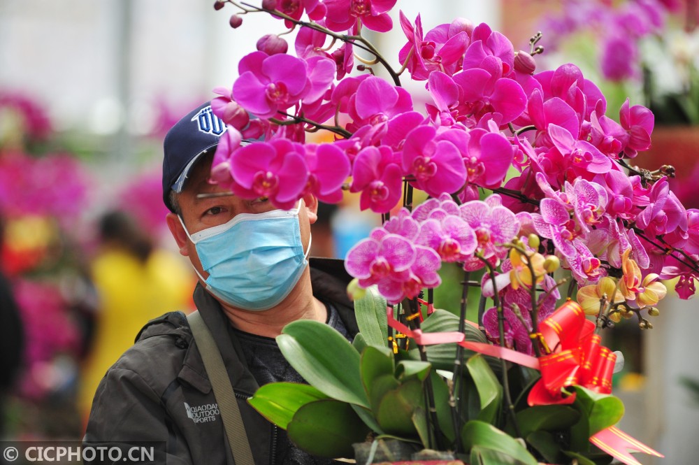 山东青岛:第三届青岛花博会启幕