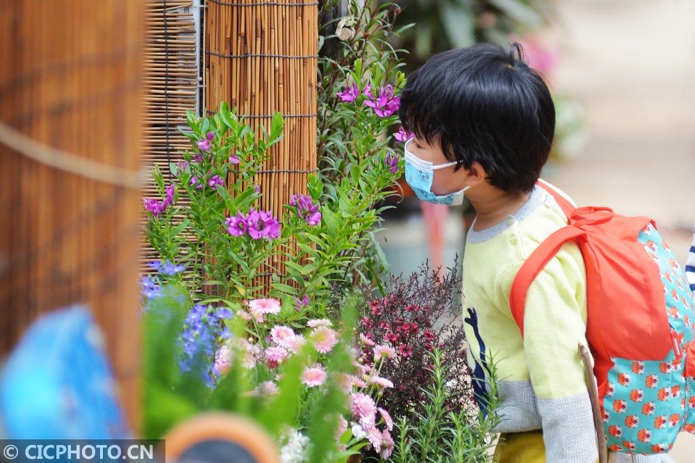山东青岛:第三届青岛花博会启幕