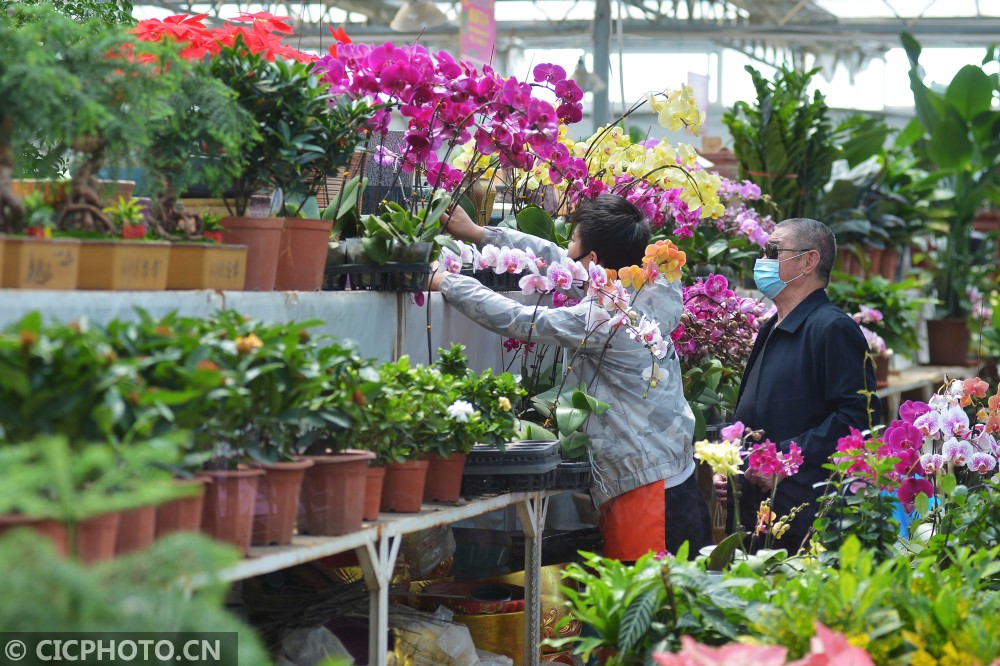 山东青岛:第三届青岛花博会启幕