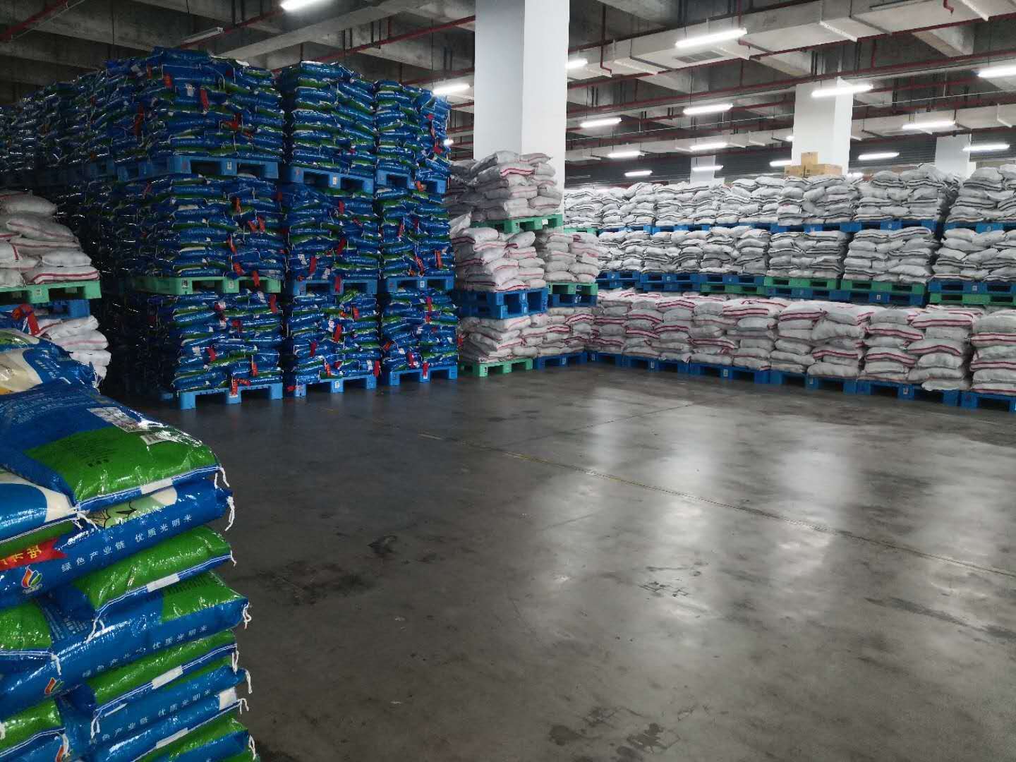 上海粮食储备实况。