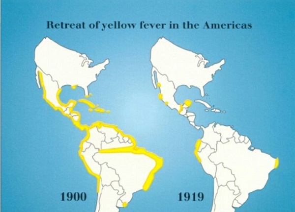 1900-1919年美洲黄热病区域变化图1924年,哈瓦那举行的第七届泛美卫生