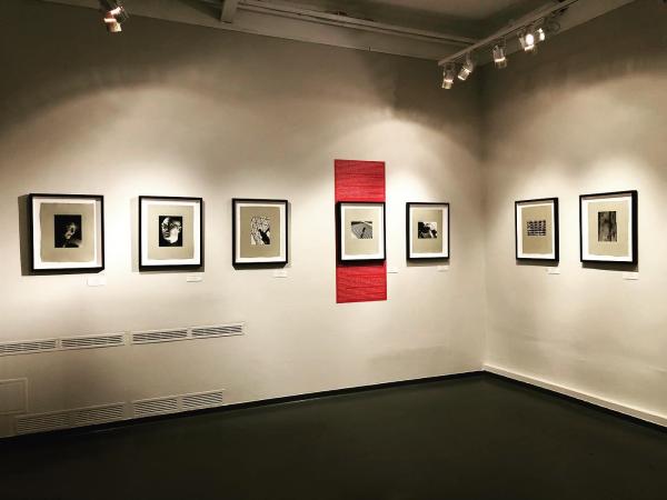 此次展览包括1994年至1997年发行的两本博物馆专辑中的58张明胶银盐