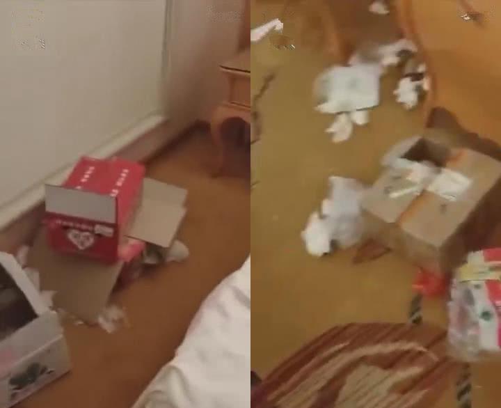 ���Ƶ�ͷ���������Ա���������ǽ塣ͼƬ��������