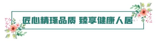 经开区核芯，繁华所向｜新加坡仁恒精装房首付6万起