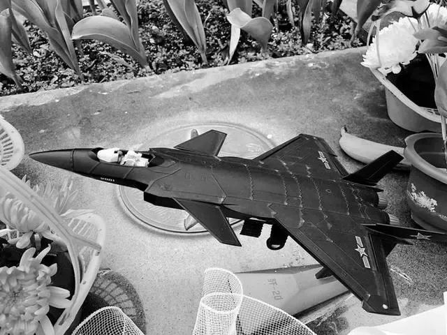 铭记81192！王伟墓前有人送来了歼20模型休闲区蓝鸢梦想 - Www.slyday.coM