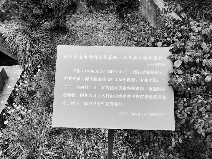 寄哀思｜英雄王伟墓前19年来鲜花不断，今年有人送来了一架歼20模型排行图片新闻休闲区蓝鸢梦想 - Www.slyday.coM