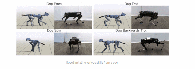 “国产莱卡狗”走进谷歌AI Lab， 强化学习算法让机器狗漫步溜达似真狗