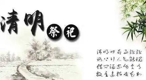 今天清明我市不少市民云祭扫缅怀先人