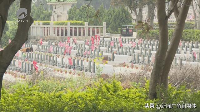 石狮永久墓园:敬献菊花代祭扫