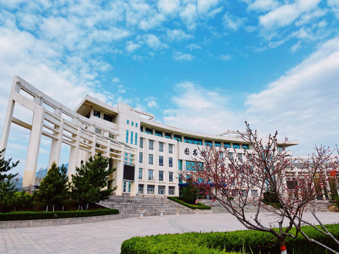 【投票开始啦】泰安高校的花都开好了,快来为你的母校投票打call吧~|