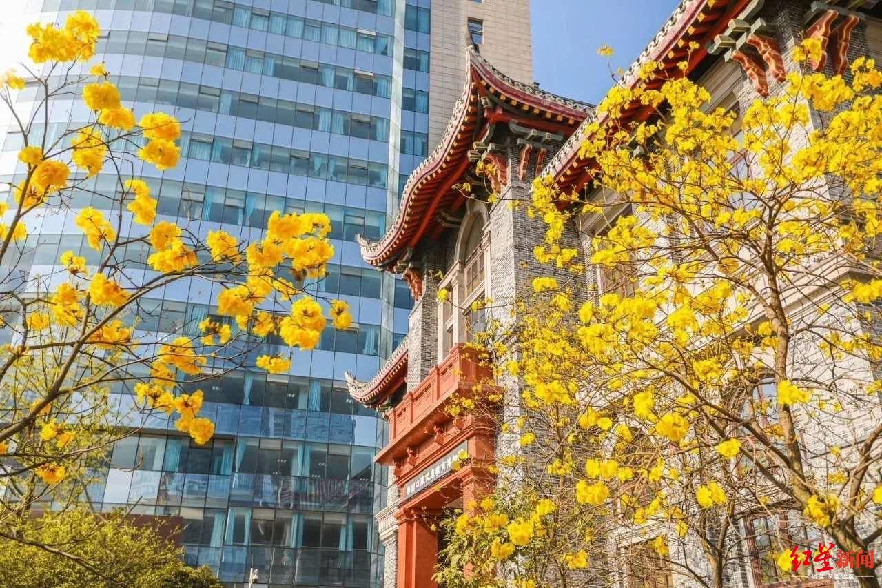 今年想考川大的同学们,这份招生解答请仔细阅读