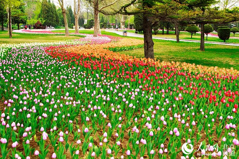 缤纷世界乐享春光北京世界公园今日恢复开放
