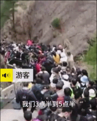 （图片来源：梨视频截图）