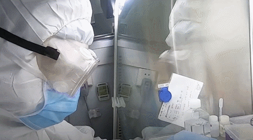 508_281gif 动态图 动图