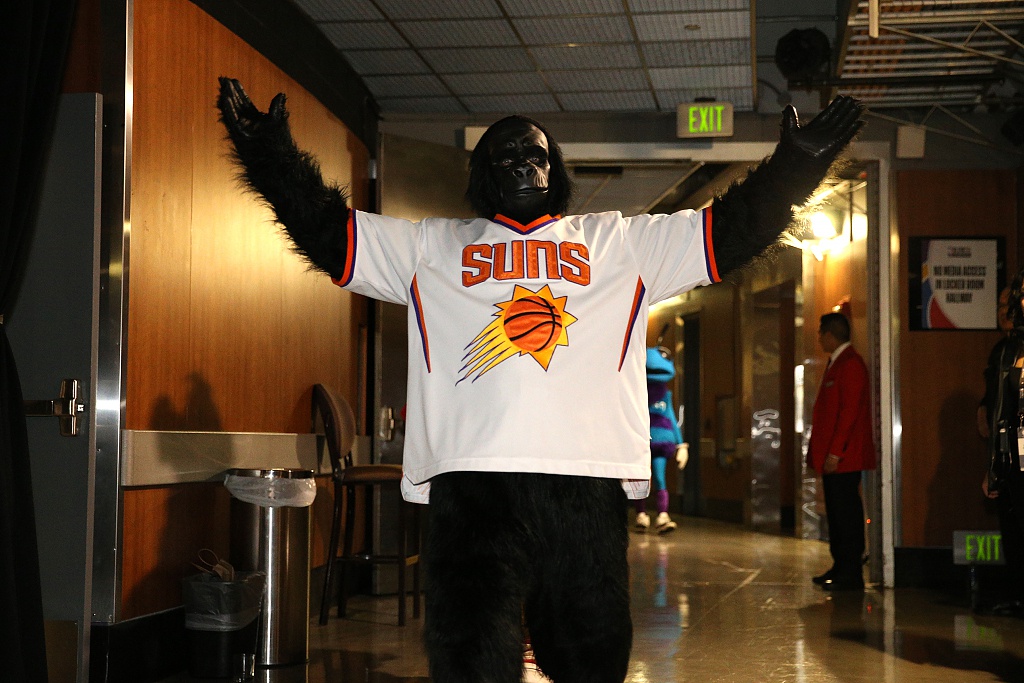 nba吉祥物图鉴太阳队大猩猩