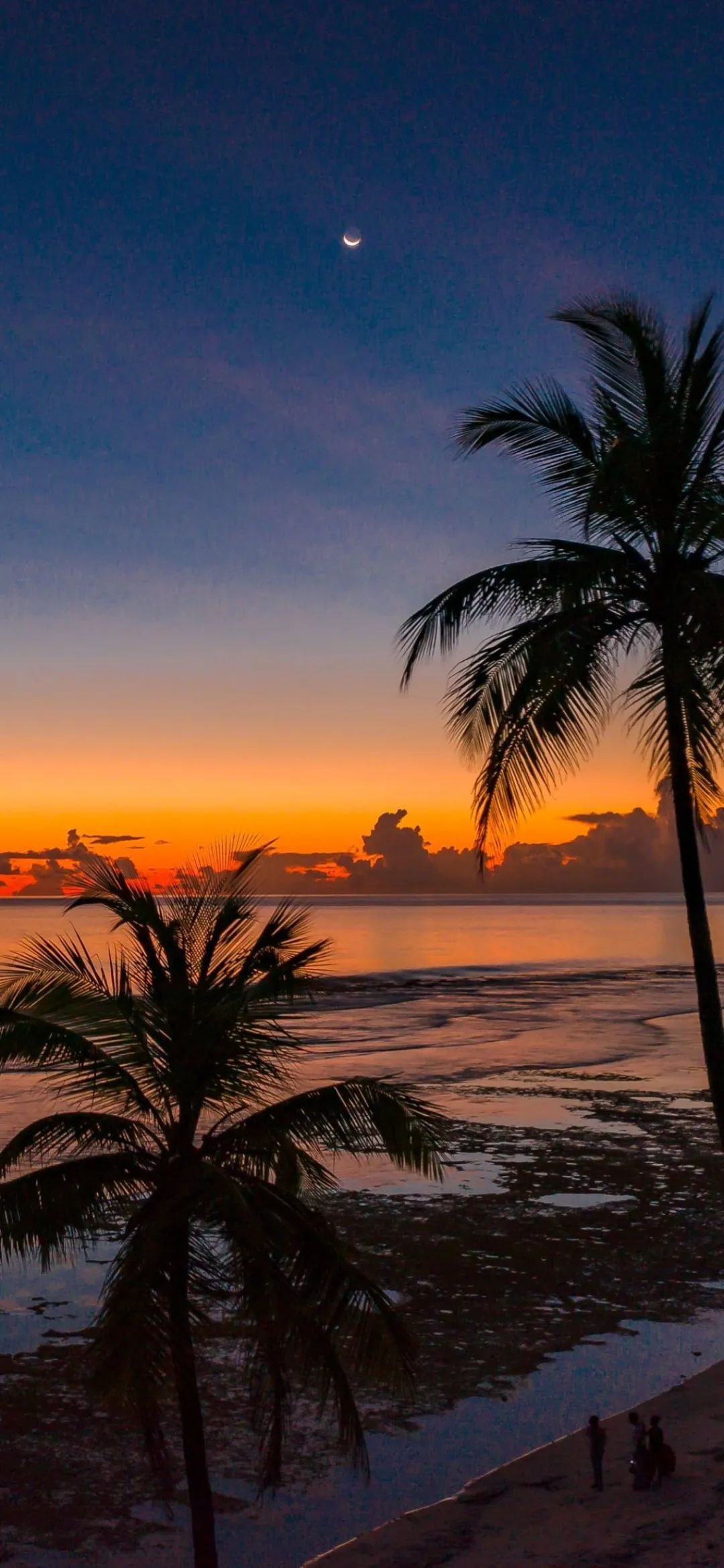 潮流壁纸精选|2020-04-05