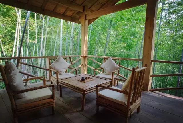 职场女神放弃高薪隐居山林,盖4间房,日子又慢又美