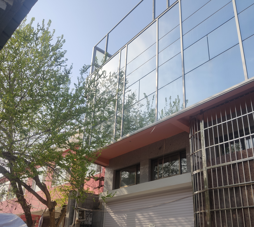 疑似自建幕墙惹祸 南飞候鸟频频"碰壁"坠亡