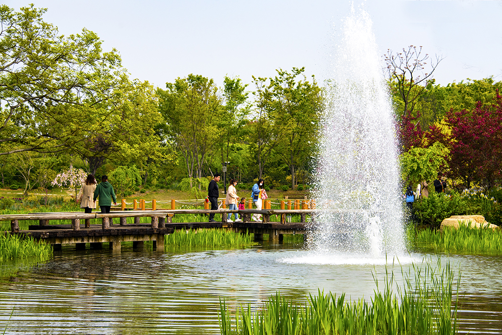 被誉为中国版布查特花园溧水三叶梦华苑春色满园喜迎游客