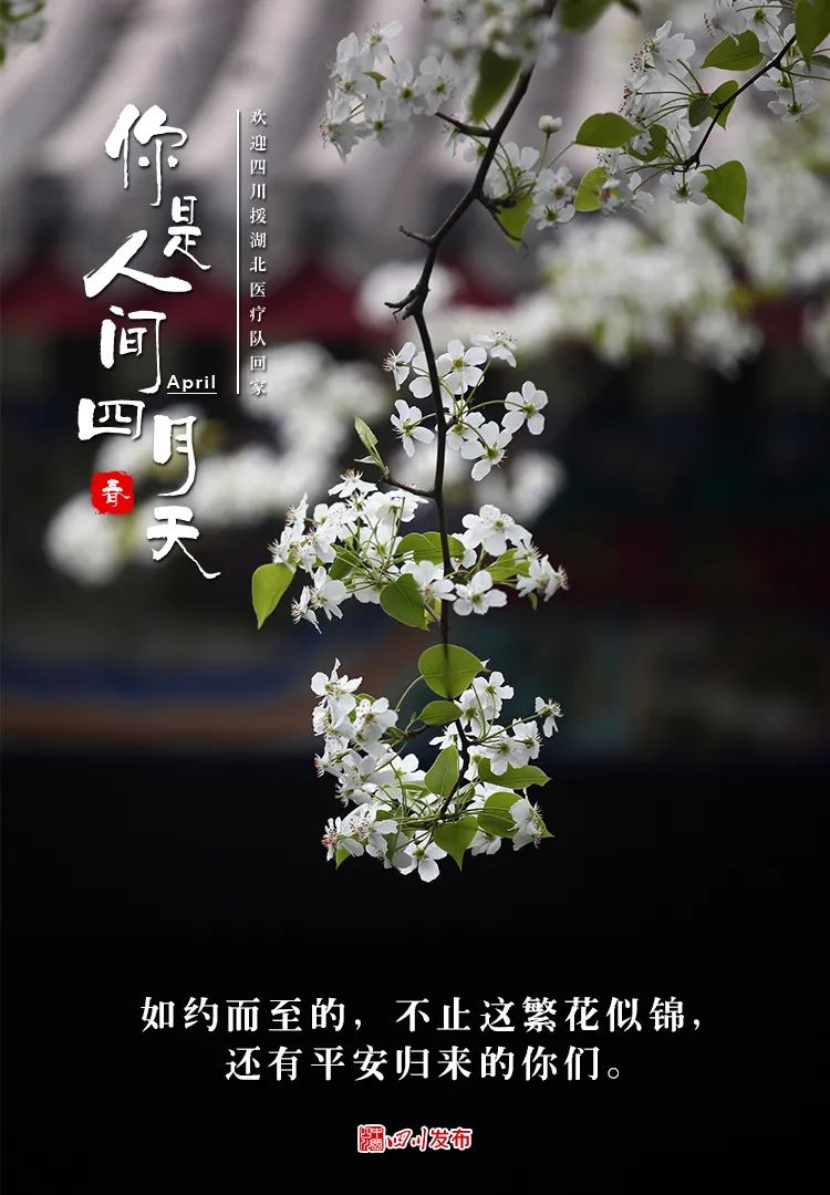 英雄归来,你们就是人间四月天!