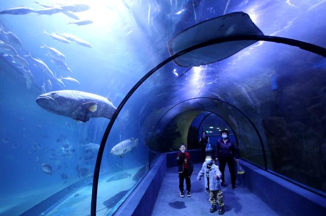 邯郸海洋世界里的快乐假期