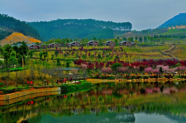 疫后花开迈向诗和远方花开疫散十里蓝山邀您赴春之约