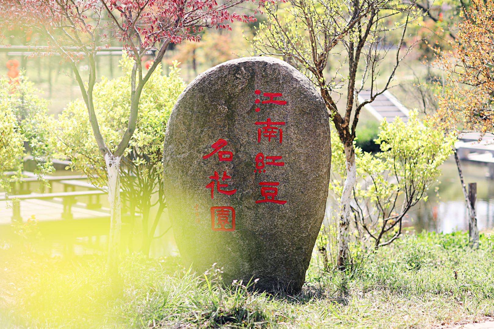 江南赏牡丹 相聚红豆园|文化园_新浪新闻