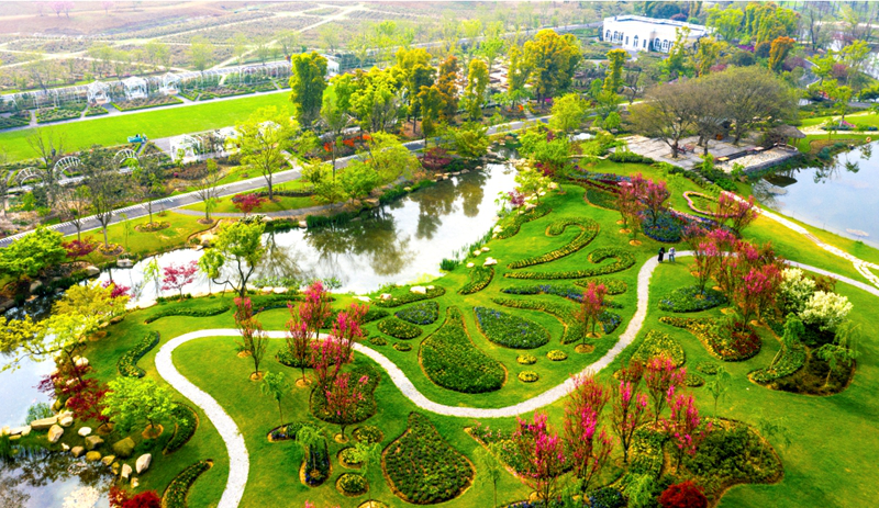 被誉为中国版布查特花园溧水三叶梦华苑春色满园喜迎游客