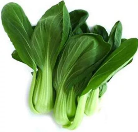 分为白菜型油菜,芥菜型油菜和甘蓝型油菜三大类今天我们常吃的大白菜