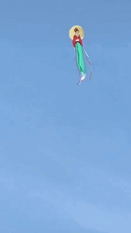 中国大爷放的才叫风筝我放的可能寂寞吧