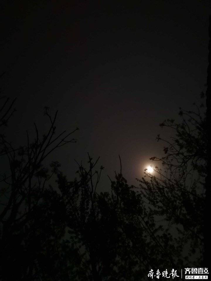 济南壹粉"君子观水勇往直前":今晚的月亮又亮又圆,照亮整个夜空.