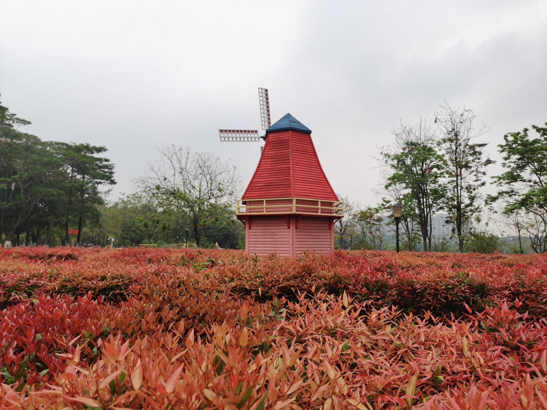 东莞植物园将升级改造"园中园"儿童公园