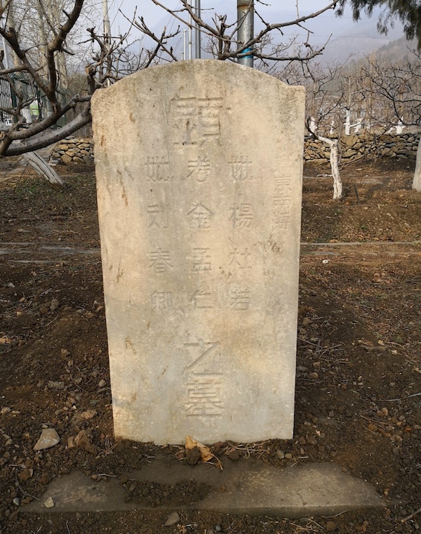 陈晓平超级间谍金无怠家世考